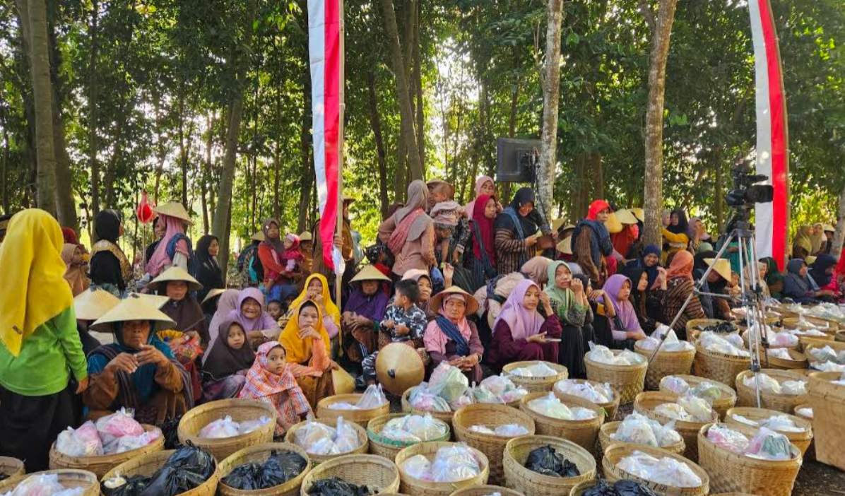 Sampul Sedekah Bumi Desa Jekawal