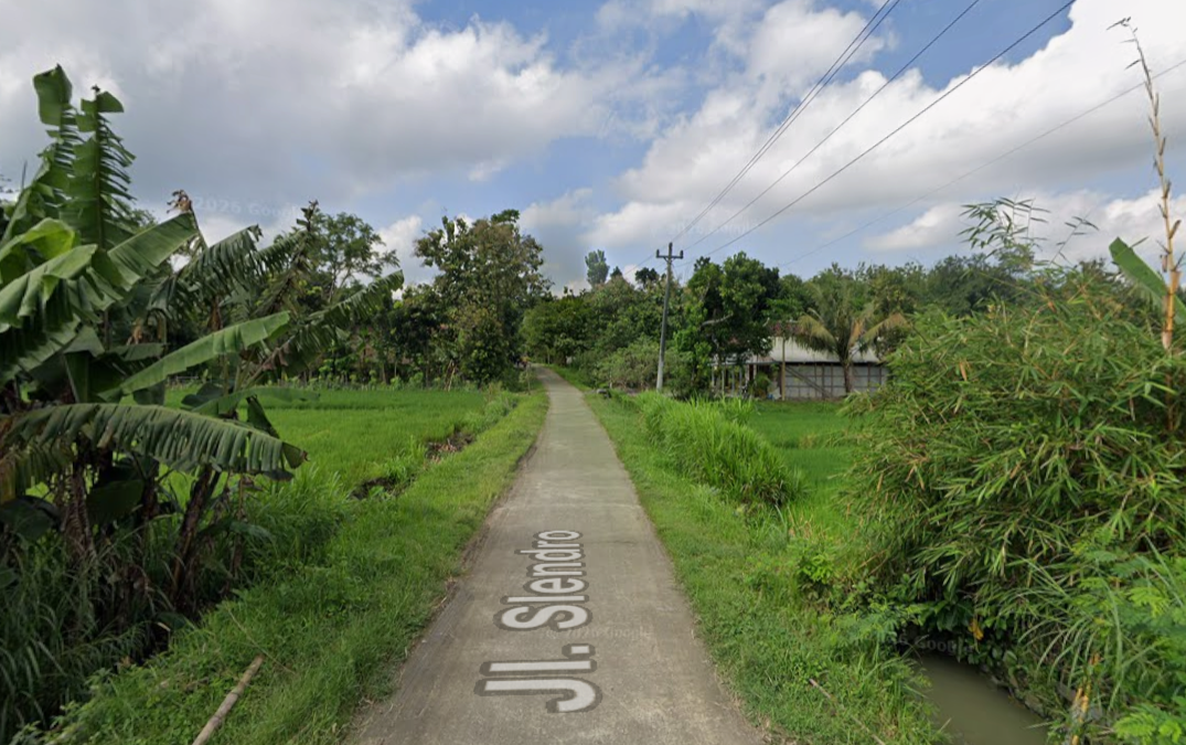 Jagung